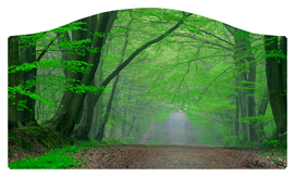 DASHELL-128 (Forest) Serenity Forest Path